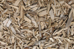 biomass boilers Densole